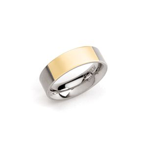 Boccia Titanium Band with Goldplated Section - 0101-04